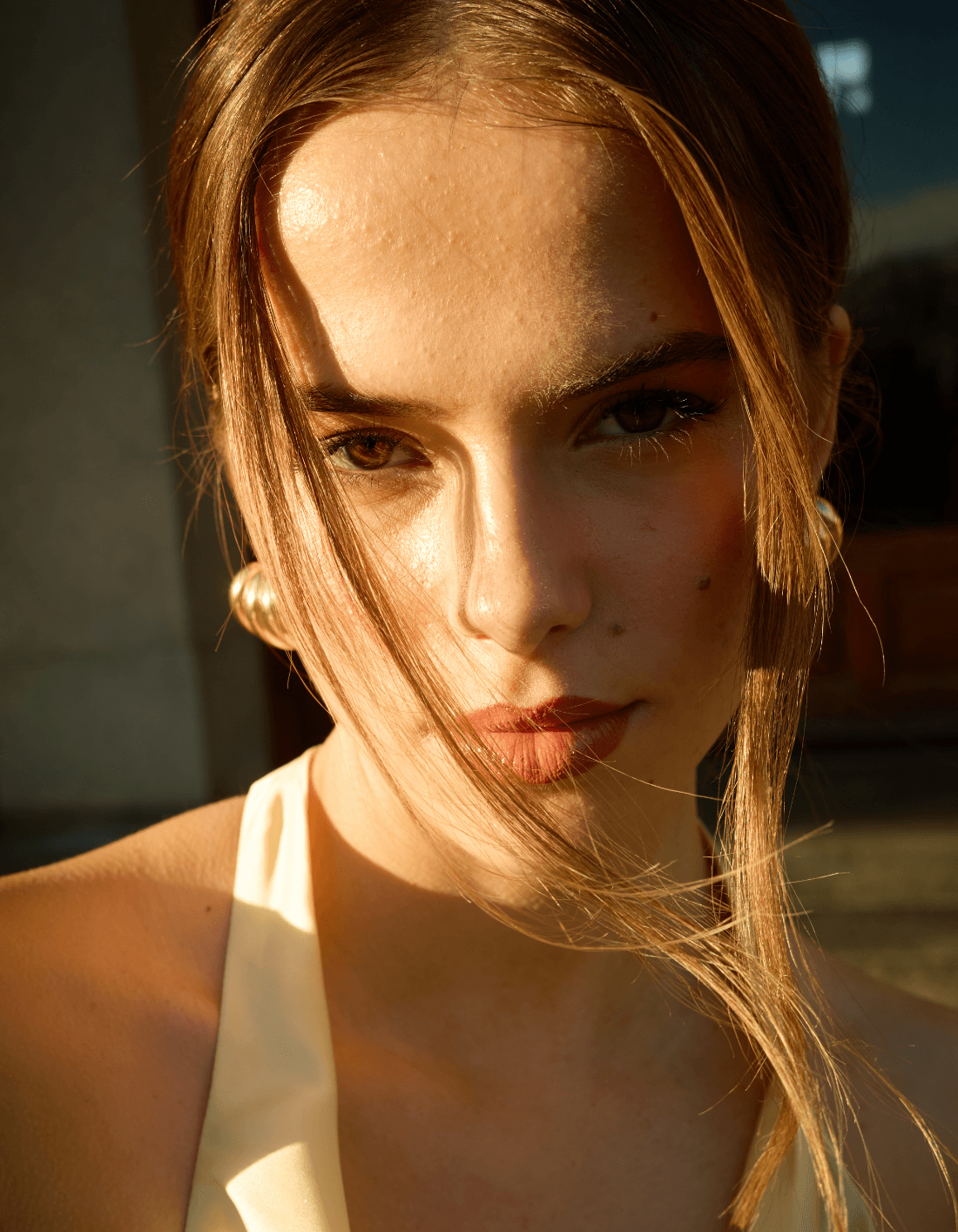 The celebration collection