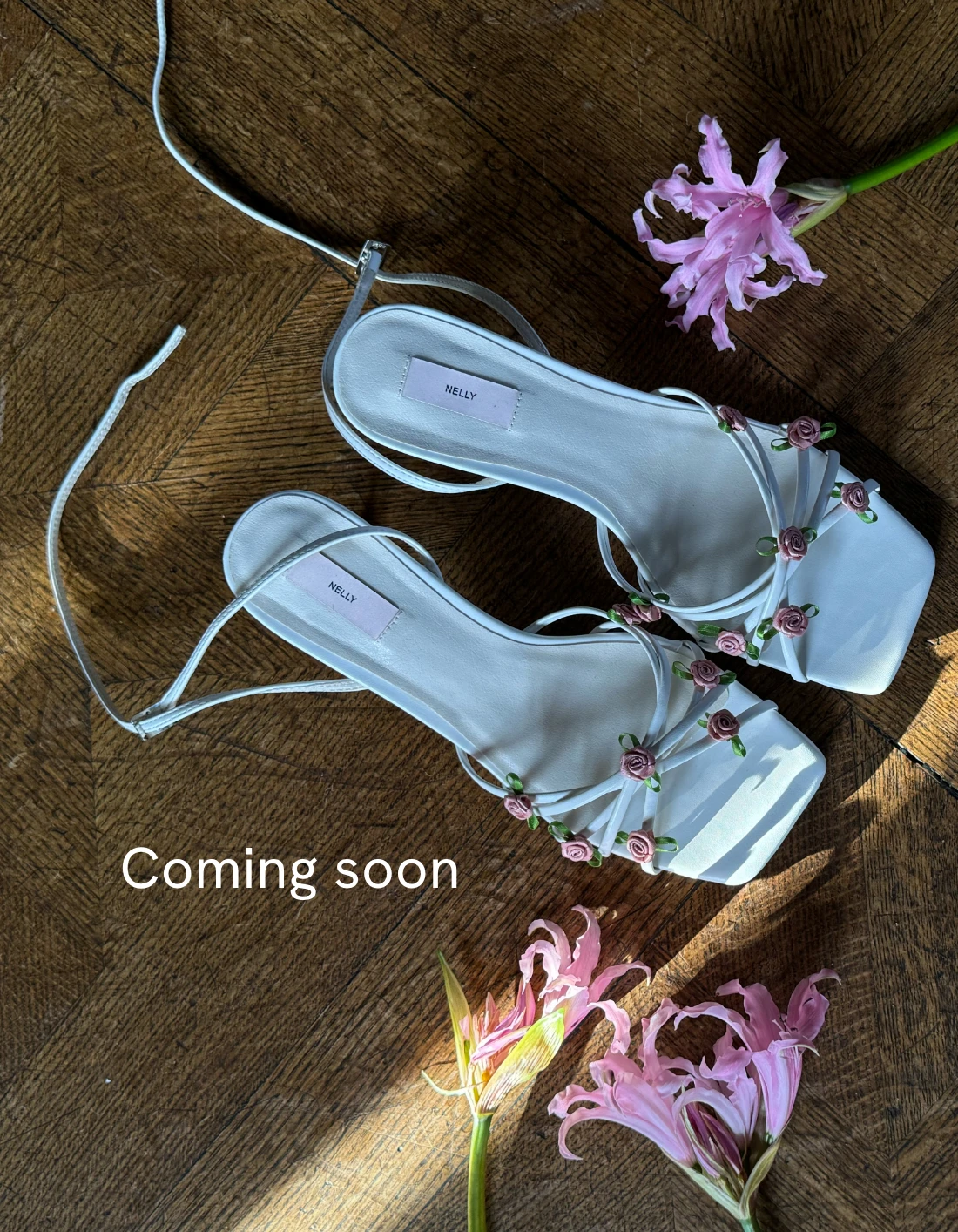 The celebration collection